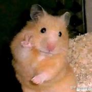 刘春福的个人资料头像