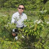 竹林小隐头像