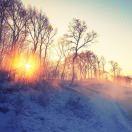 半屏的个人资料头像