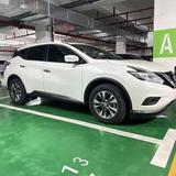 我有一只大号运动鞋头像