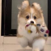 东雁南飞的个人资料头像