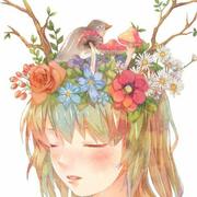 小蜜蜂爱学习的个人资料头像