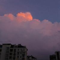 阿斯顿富贵花w头像