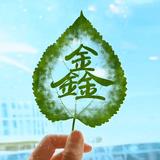 用户4254255763160头像