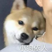 叶子ZOO的个人资料头像