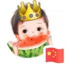 程序员豆豆的个人资料头像