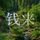 H123456789头像