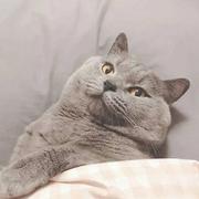 用户8752781172859的个人资料头像