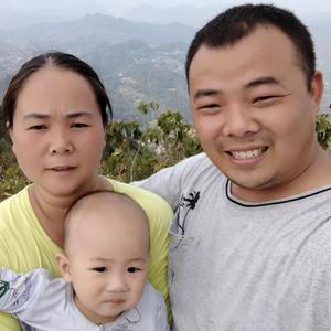 竹林散养鸡鸡头像