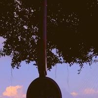 迪胜汽车头像