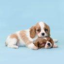 水酱44691的个人资料头像