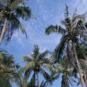 肥肥梅的个人资料头像