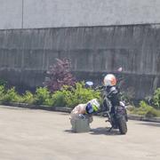 努力为KTM的个人资料头像