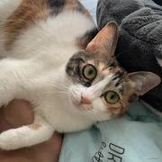 刘道桂的个人资料头像