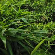 暂时先欠着的个人资料头像