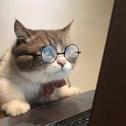 洒洒说不清的个人资料头像