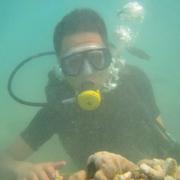 郭盼895的个人资料头像