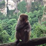 深夜饿人的个人资料头像