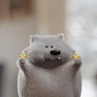 奇妙荷叶0QA头像