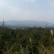 匡光淼的个人资料头像