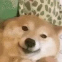 哪有那么多明白人头像