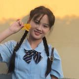 灿烂小鱼o8Z头像