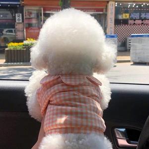 小凝云头像
