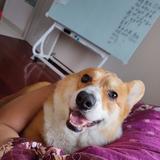 Jackxxi7头像