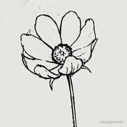 90年代的青年的个人资料头像