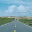 老夫子爱喝奶的个人资料头像