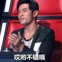 安妮你的熊呢头像