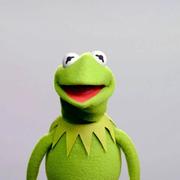 王碗碗的个人资料头像