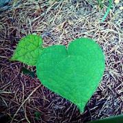 jian146461的个人资料头像