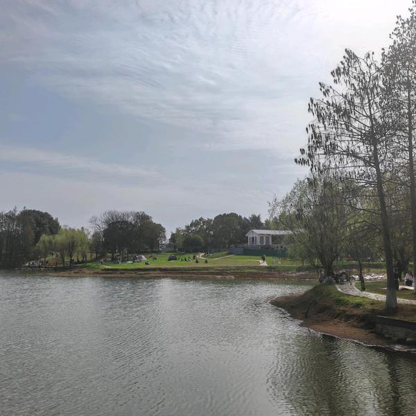 灵巧孔雀f3x头像