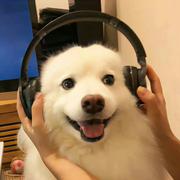 Licox的个人资料头像