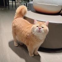 wentao383头像