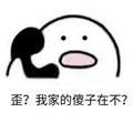 哇国人头像