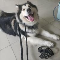 叫我小明548726头像