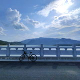 专业钓龙虾头像