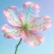 CodePetal的个人资料头像