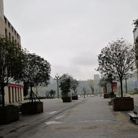 后羿6951头像
