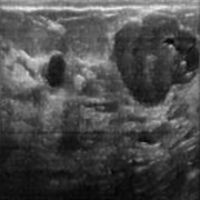 心台_的个人资料头像