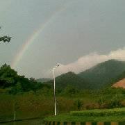 树荫中的围墙的个人资料头像