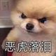 exiting头像