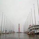 天黑请闭眼爱学习的个人资料头像