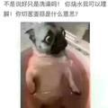 HZM15头像