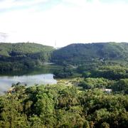 天星961的个人资料头像