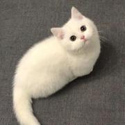 闽江大萝卜的个人资料头像