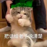 肉弹冲鸡的个人资料头像