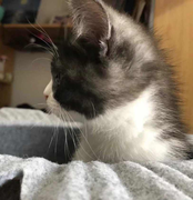 长门有一的个人资料头像